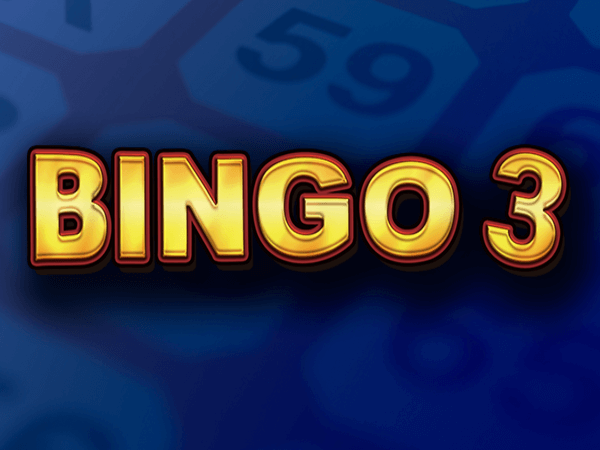 Bingo 3